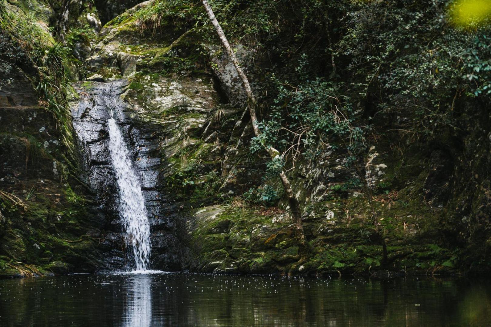 Вилла Moonshine On Whiskey Creek The Crags Экстерьер фото