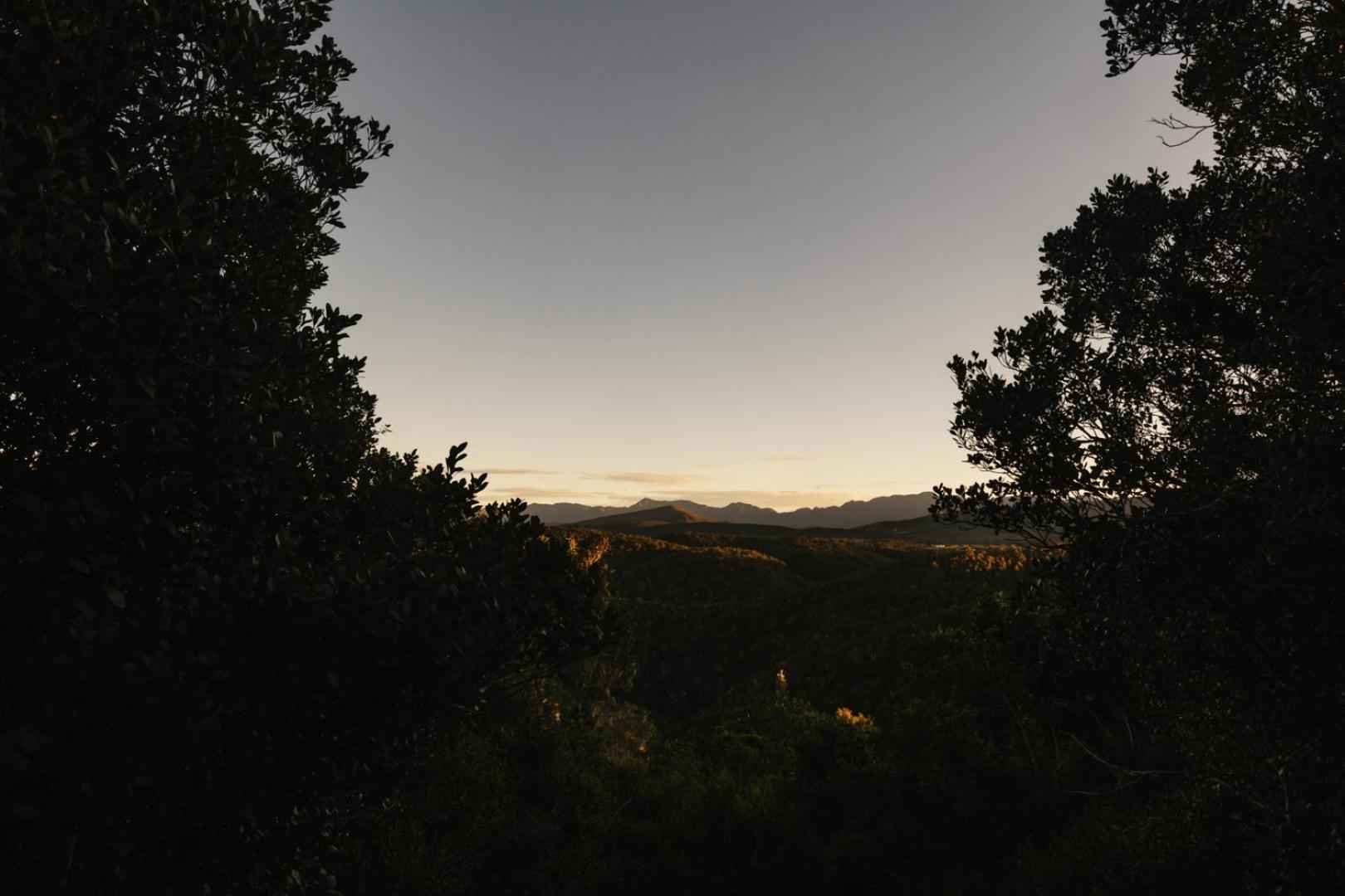 Вилла Moonshine On Whiskey Creek The Crags Экстерьер фото