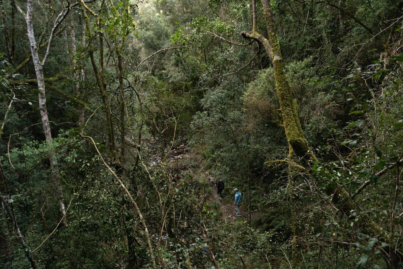 Вилла Moonshine On Whiskey Creek The Crags Экстерьер фото
