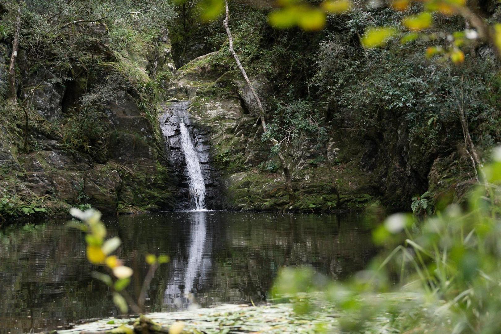 Вилла Moonshine On Whiskey Creek The Crags Экстерьер фото